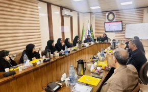 دوره تخصصی توانمندسازی مدرسان زبان فارسی در دانشگاه بین‌المللی امام رضا(ع) برگزار شد