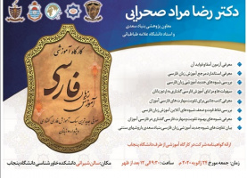 هفته زبان و ادبیات فارسی در ایالت پنجاب پاکستان با حضور معاون آموزش و پژوهش بنیاد سعدی
